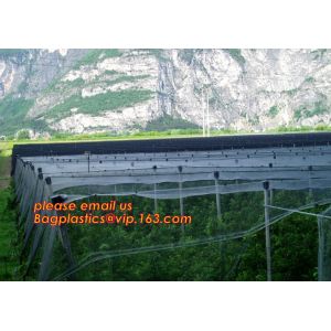 Green Construction Building Scaffolding Safety Net /Safety Mesh Netting