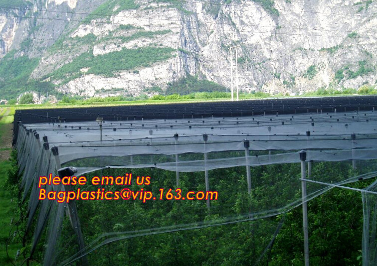 Garden plant protect cover anti insect net/agricultural plastic mesh insect proof net,agricultural wide varieties frost