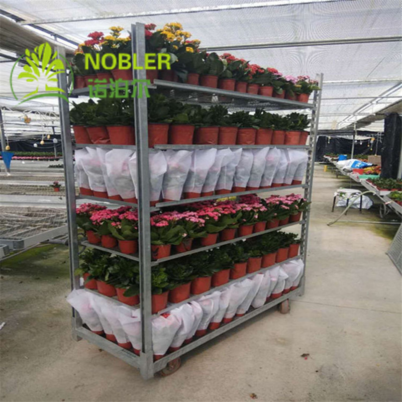 Rubber Wheel Hand Flower Container Danish Cart Hot Galvanizing