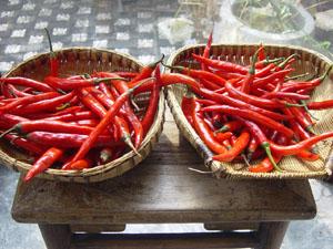 Halal certified chili factory produce long Xian chili