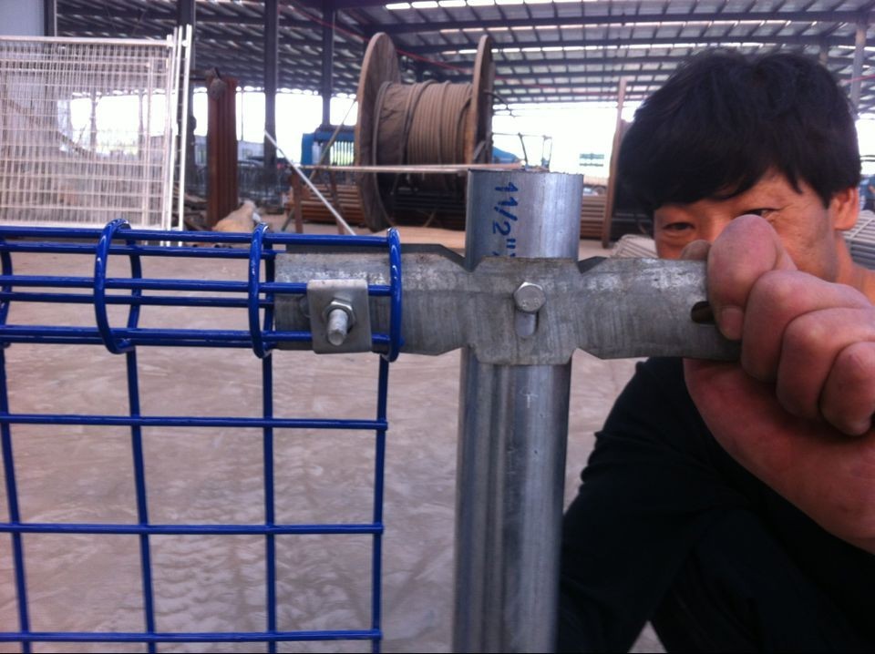 Hot Sale Double Rings Protection Fence / Panel Loop Double Ring Fence With Low Price