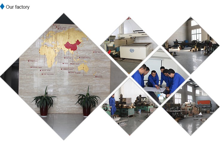 500 Bph Chicken Slaughtering Line 220V / 380V Chicken Plucker Machine