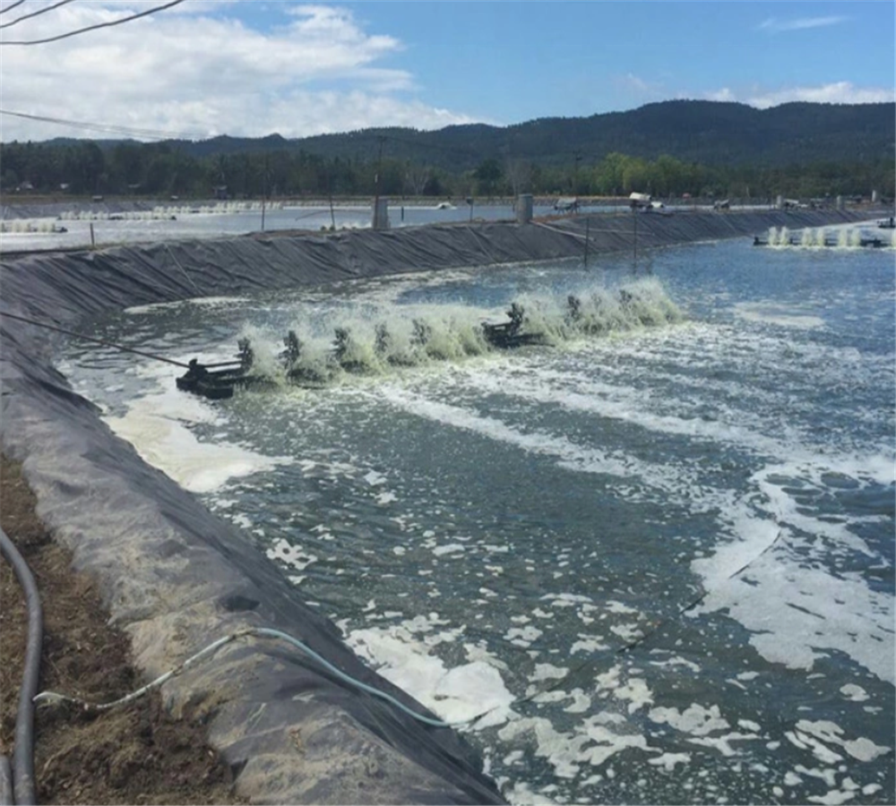 Waterproof Projects Plastic Geomembrane Fish Farming Tank Pond Tarpaulin Shrimp Pond Liner