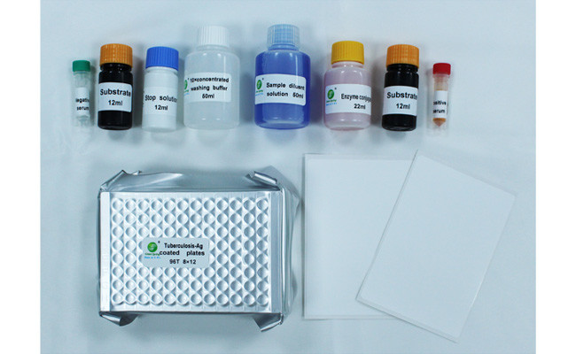 96Wells/Kit Tuberculosis Antibody ELISA Tb Rapid Test Kit For Bovine Sheep ISO9001