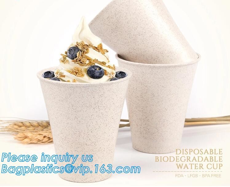 Meal Prep Containers Free Sample Bento Lunch Box Biodegradable Food Container Plastic Wheat Straw Lunch Box bagplastics