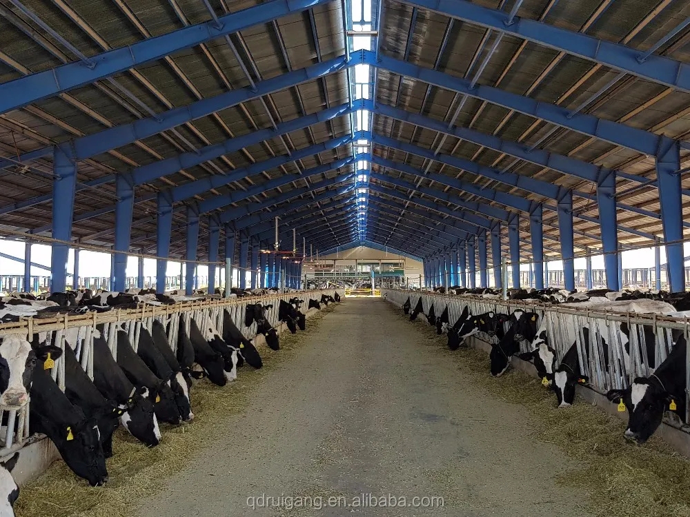 Low Carbon Q235/Q345 Metal Horse Sheds Prefab Metal Horse Barn
