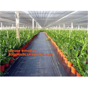 Green Construction Building Scaffolding Safety Net /Safety Mesh Netting