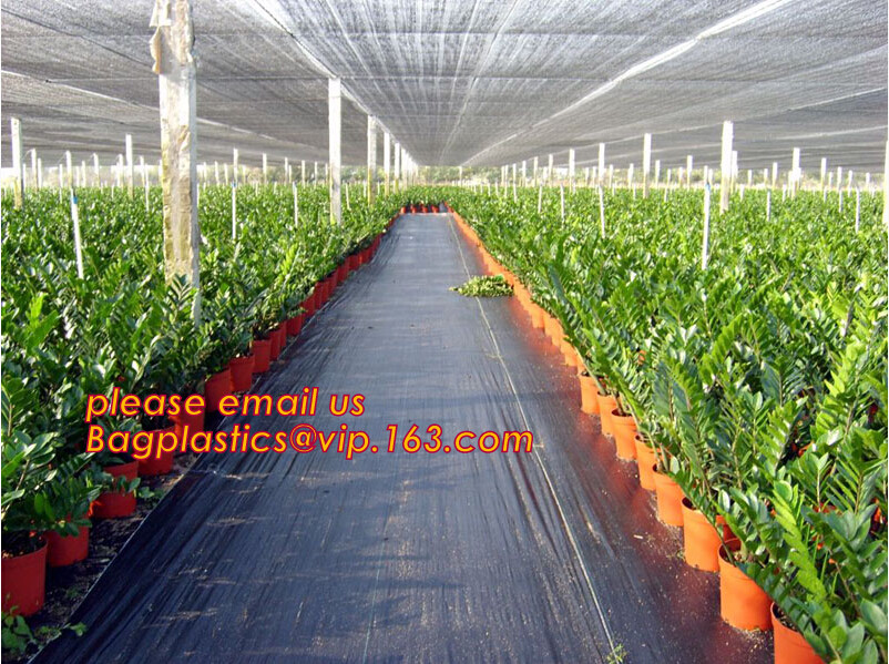 Garden plant protect cover anti insect net/agricultural plastic mesh insect proof net,agricultural wide varieties frost