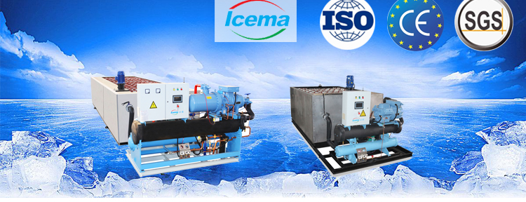 1T 2T 3T Brine Refrigeration Block Ice Machine 5T 6T 8T 10T