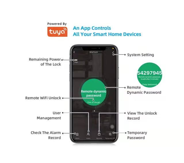 Aluminum Alloy Residential Electronic Lock Fingerprint Smart Lock Tuya App