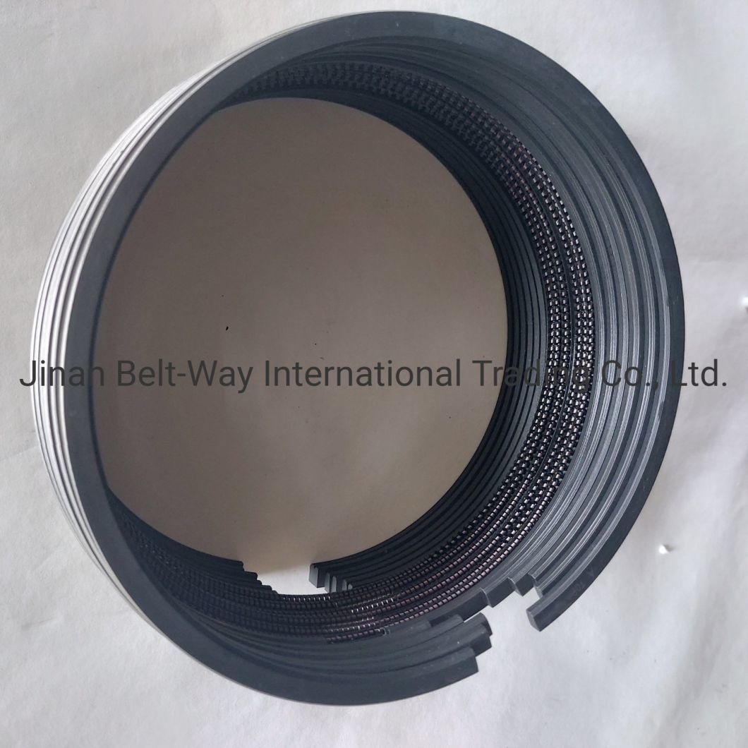 Sinotruk HOWO Parts Truck Parts Truck Spare Parts Piston Ring Vg1560030040