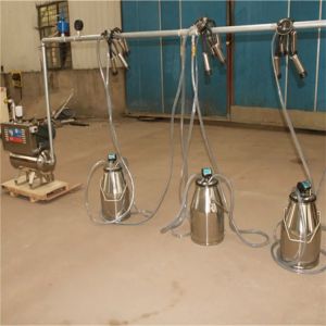 Portable Bucket Milking Machine with 25L Stainless Bucket 1.1kw-3.0kw Power and
