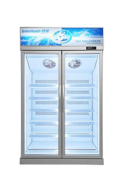 Convenience Store Commercial Freezer Refrigerator 444L Adjustable Shelves