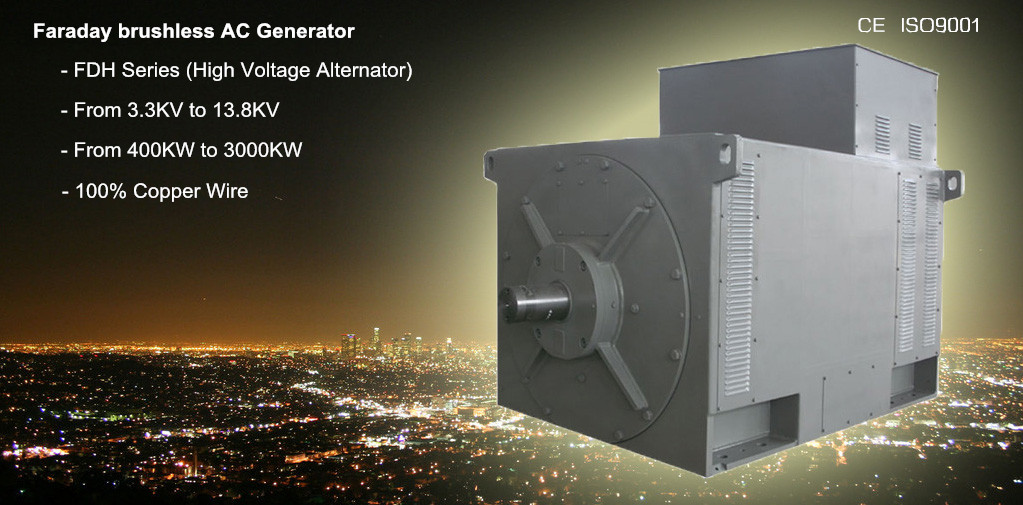 800KW HV Generator High Voltage Alternator 3.3KV @ 50HZ