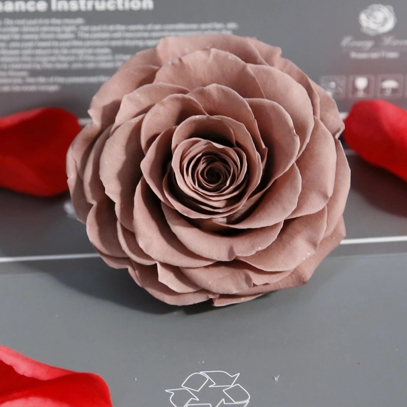New Technique Preserved Rose Handmade Real Forever Giant Rose