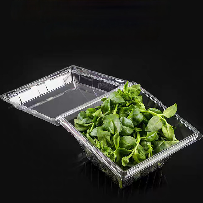 Customized square anti fog PET transparent vegetable lock fresh box disposable blister herb clamshell packaging lettuce plastic packaging