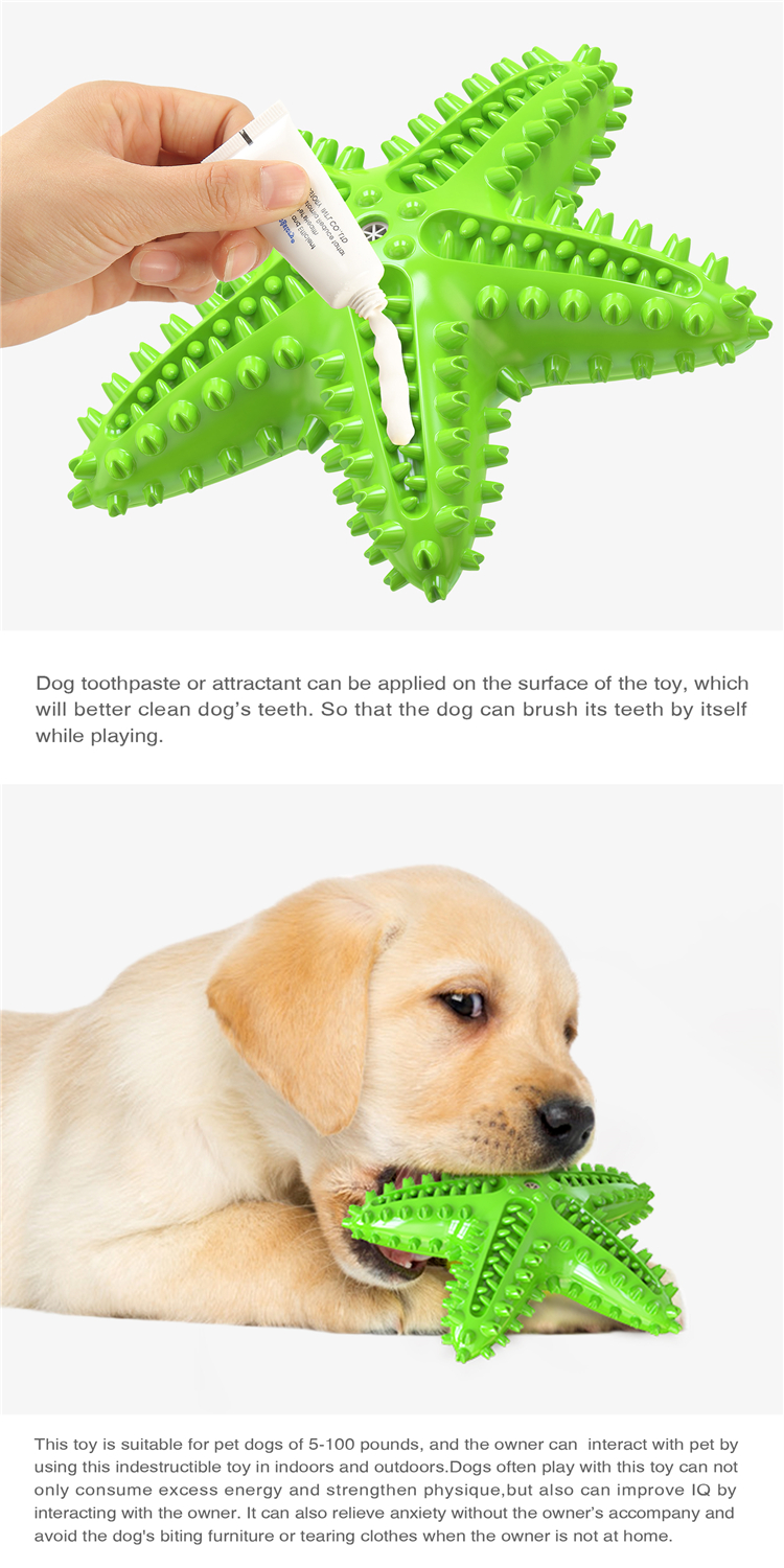 Natural Rubber New Design Starfish Shape Dog Chew Toy Dental Cleaning Toothbrush Squeaky Toy Yellow Green Blue