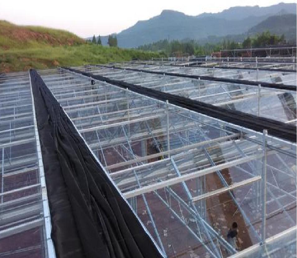 Agricultural Single-Span Tunnel Type Film Blackout Mushroom Greenhouse with Light Deprivation System for Medical Plants and Mushroom