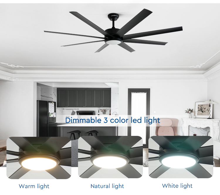 ceiling fan with light