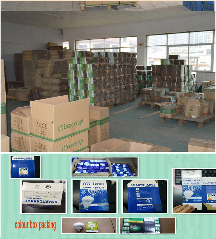 Battery Backup Fluorescent Emergency Light , IP65 Wall Mounted Emergency Light