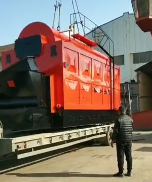 Horizontal Biomass Steam Boiler
