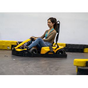  36V Powered Go Kart 75km/h With Collision Proof Enclosure Manufactures