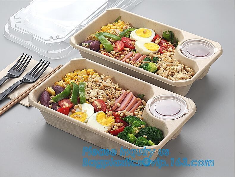 Meal Prep Containers Free Sample Bento Lunch Box Biodegradable Food Container Plastic Wheat Straw Lunch Box bagplastics