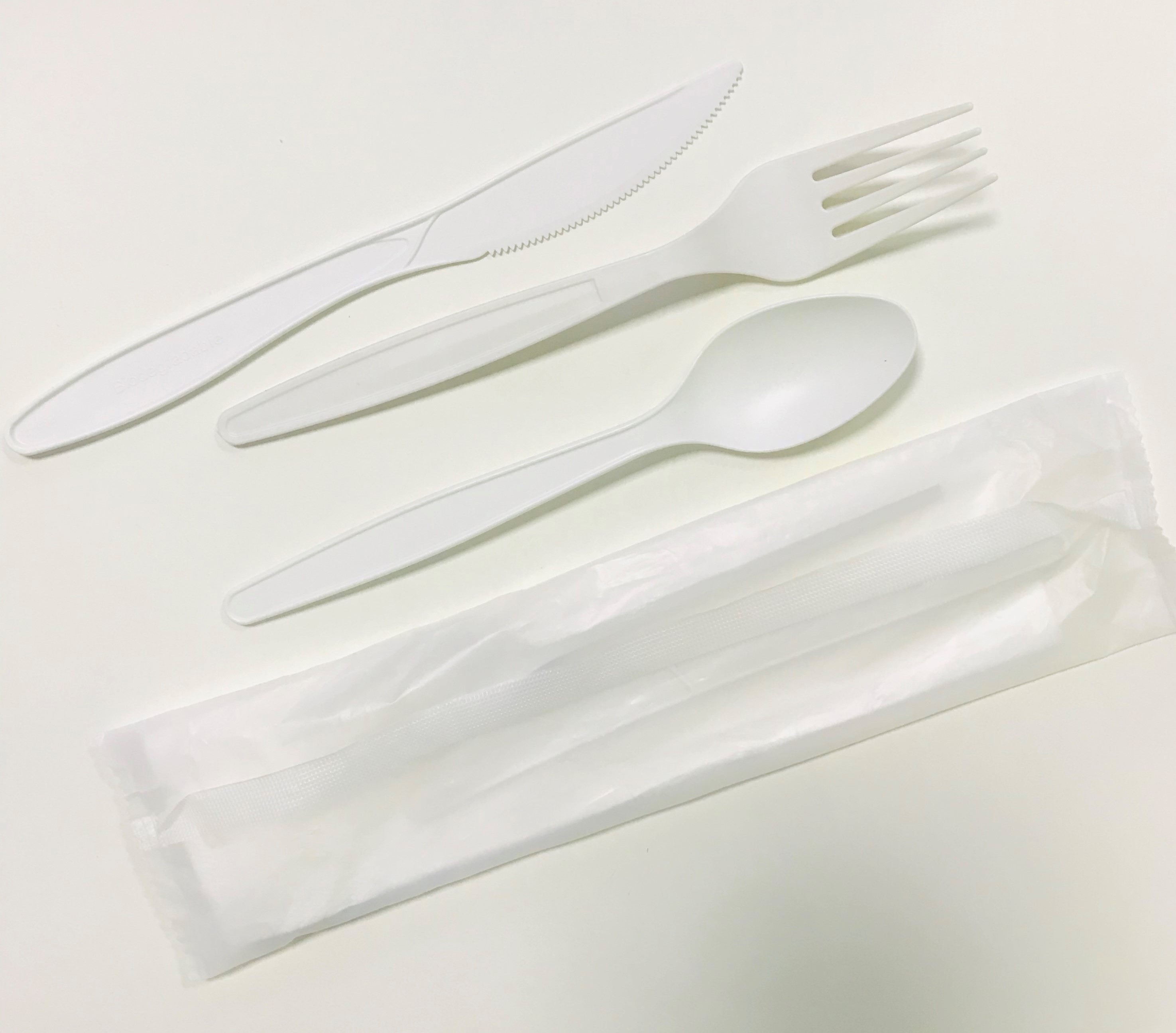 Heatproof Biodegradable Eco-friendly Customizable Disposable PLA Knife Fork And Spoon