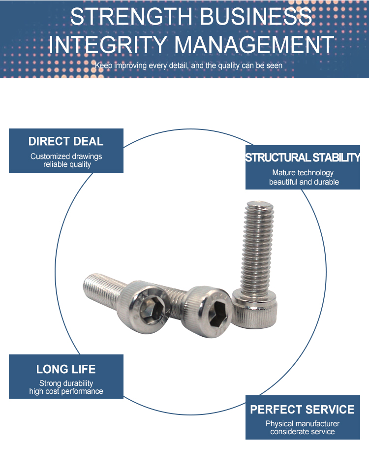 High Tension M5 M6 M8 M10 M12 Stainless Steel Allen Key Bolt ISO9001 2015 Certified