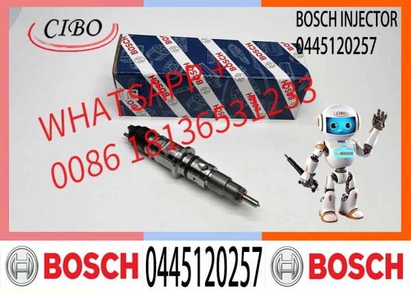 Diesel Fuel Common Rail Injector 0445120257 Engine Parts 0 445 120 257 Fits For
