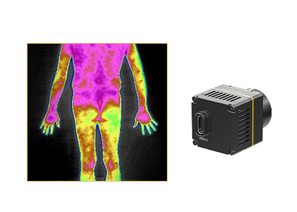  Uncooled LWIR Thermal Camera 384x288 17μM For Body Temperature Screening Manufactures