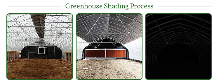 Automatic Outside Shading Light Deprivation System Greenhouse OEM