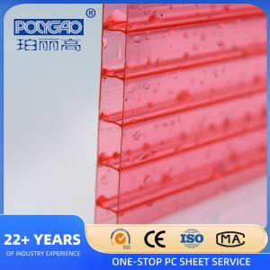 Polycarbonate Hollow Sheet Simply Processed and Installed Blue Polycarbonate
