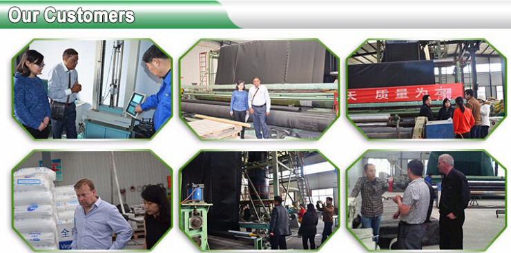 eco-friendly hdpe geomembrane liner geomembrane price,eco-friendly hdpe geomembrane liner waterproofing membranes BAGEAS