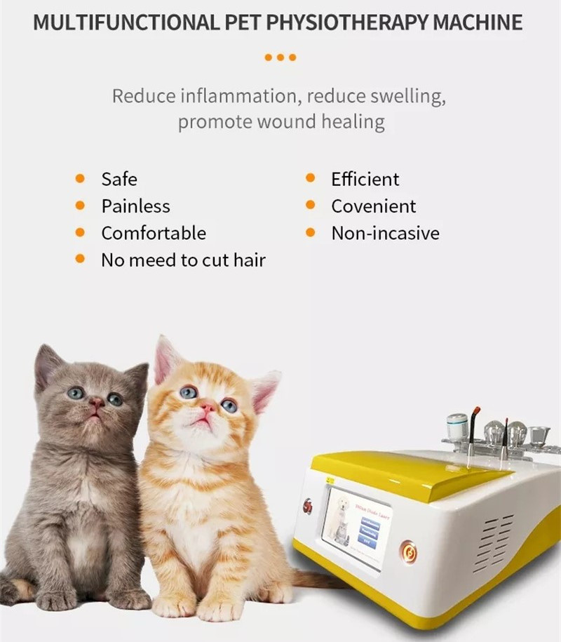Pets Pain Recovery Surgical 980nm Diode Laser Veterinary Therapy Laser Device