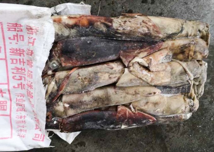Whole Round Dried Squid Snack , Peru Giant Squid 2000g Up Size