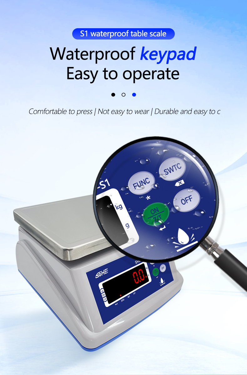 8V/1A Power Supply Waterproof Scale with Dual Screen Display and Precision Sensor