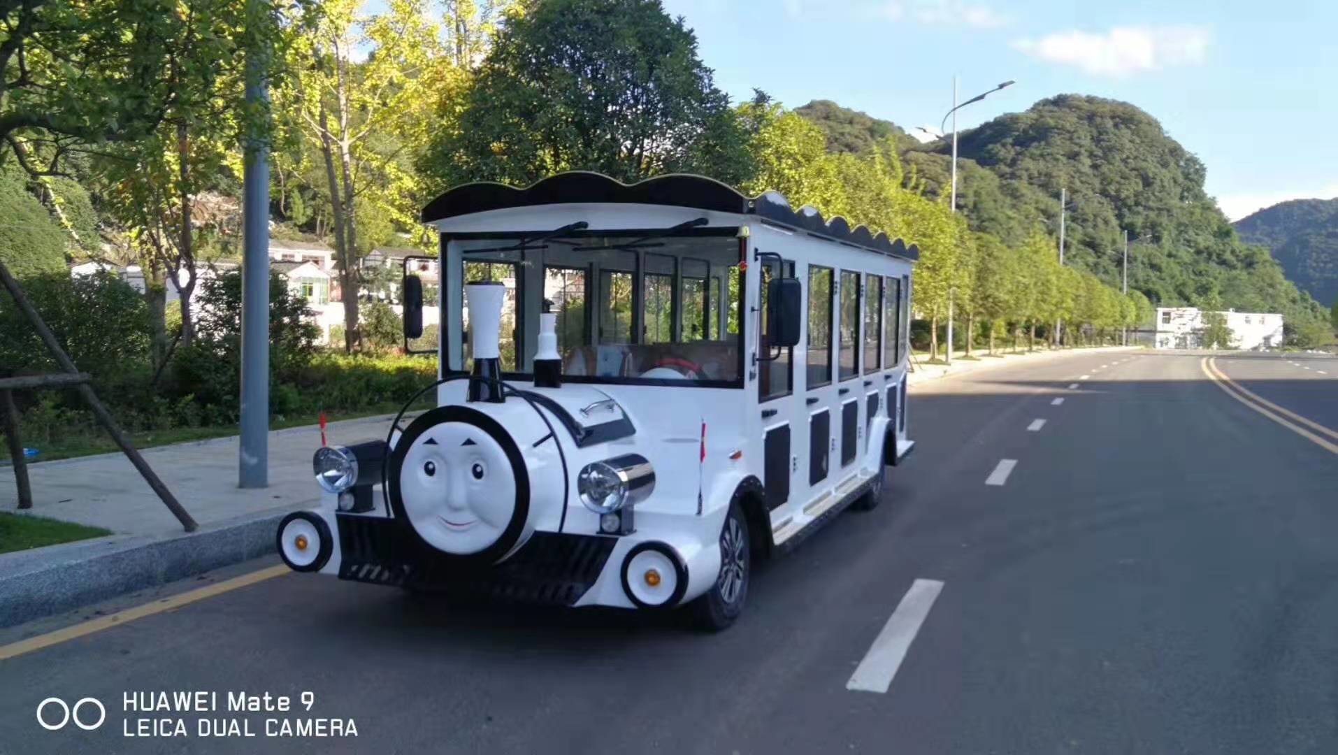 Thomas Train Head Cartoon Electric Sightseeing Car Size 5430*1600*2050mm 14 seats