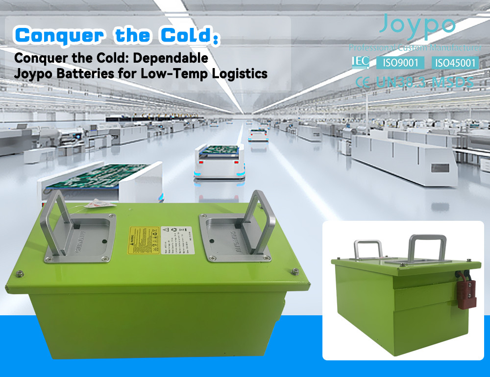 Cold Room Storage UTV AGV Forklift Low Temperature Lithium Battery 48V Quickly Charge