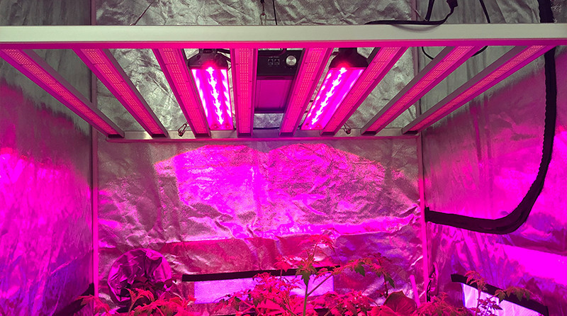 RedFarm 730nm 30W UVA Grow Light LED Bar UV Supplemental Grow Bar