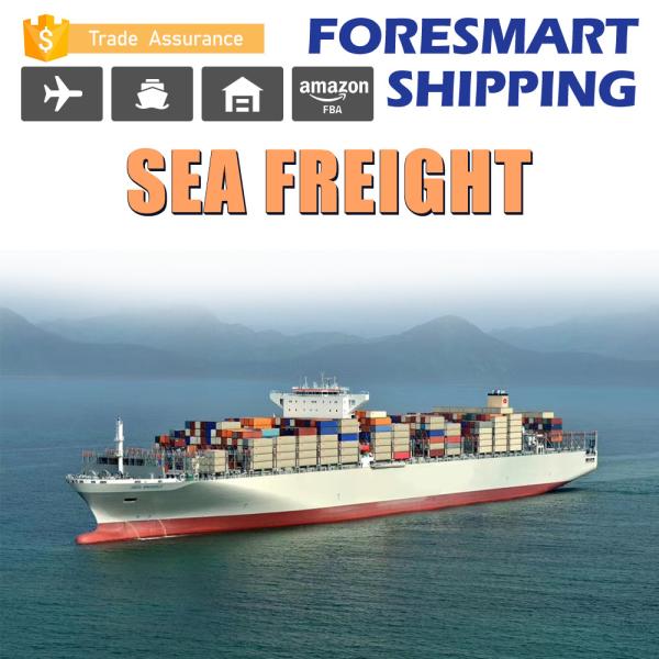 20FT 40FT Container Freight Forwarder , Door To Door International Container