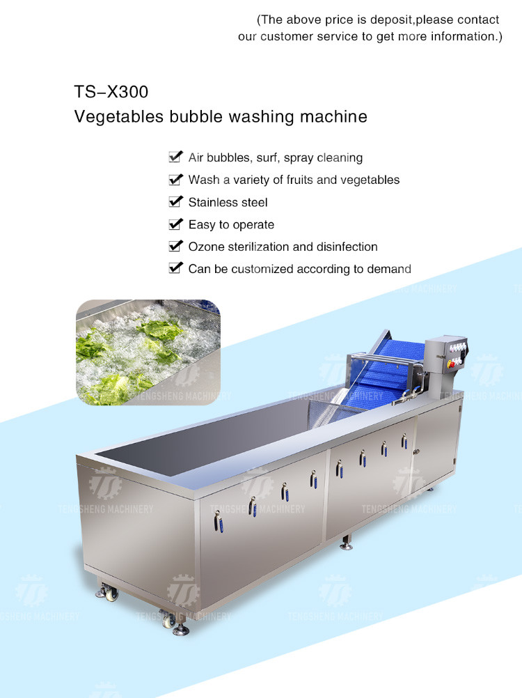 Tengsheng Fruit And Vegetable Washing Machine Pests Eliminating Saint Dragon Fruit
