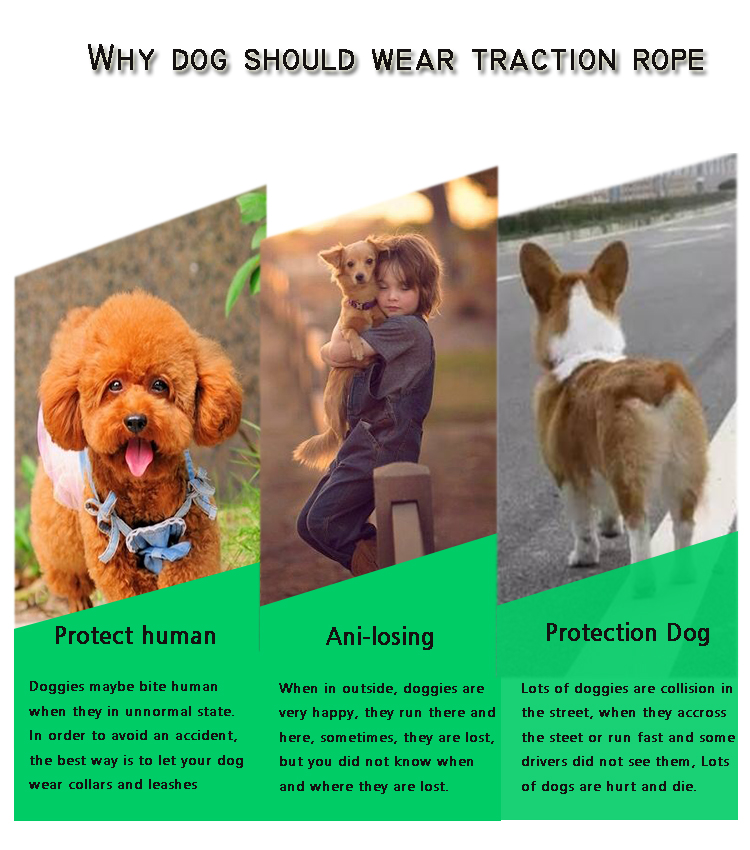 Durable Running Canvas Padded Pet Dog Leash , Colorful European Dog Leash