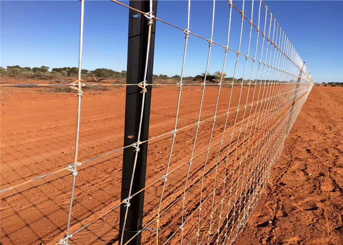 Easy Operating Automatically Custom Deer Fence Machine For Animal Fence