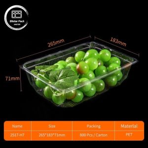 Transparent PET Clamshell Fruit Containers Disposable Plastic Boxes with Lids