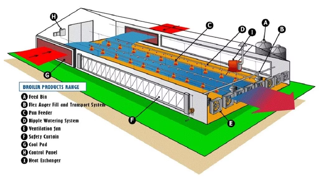Prefabricated Steel Structure Thermostatic Hot DIP Galvanized Steel Poultry Chicken House