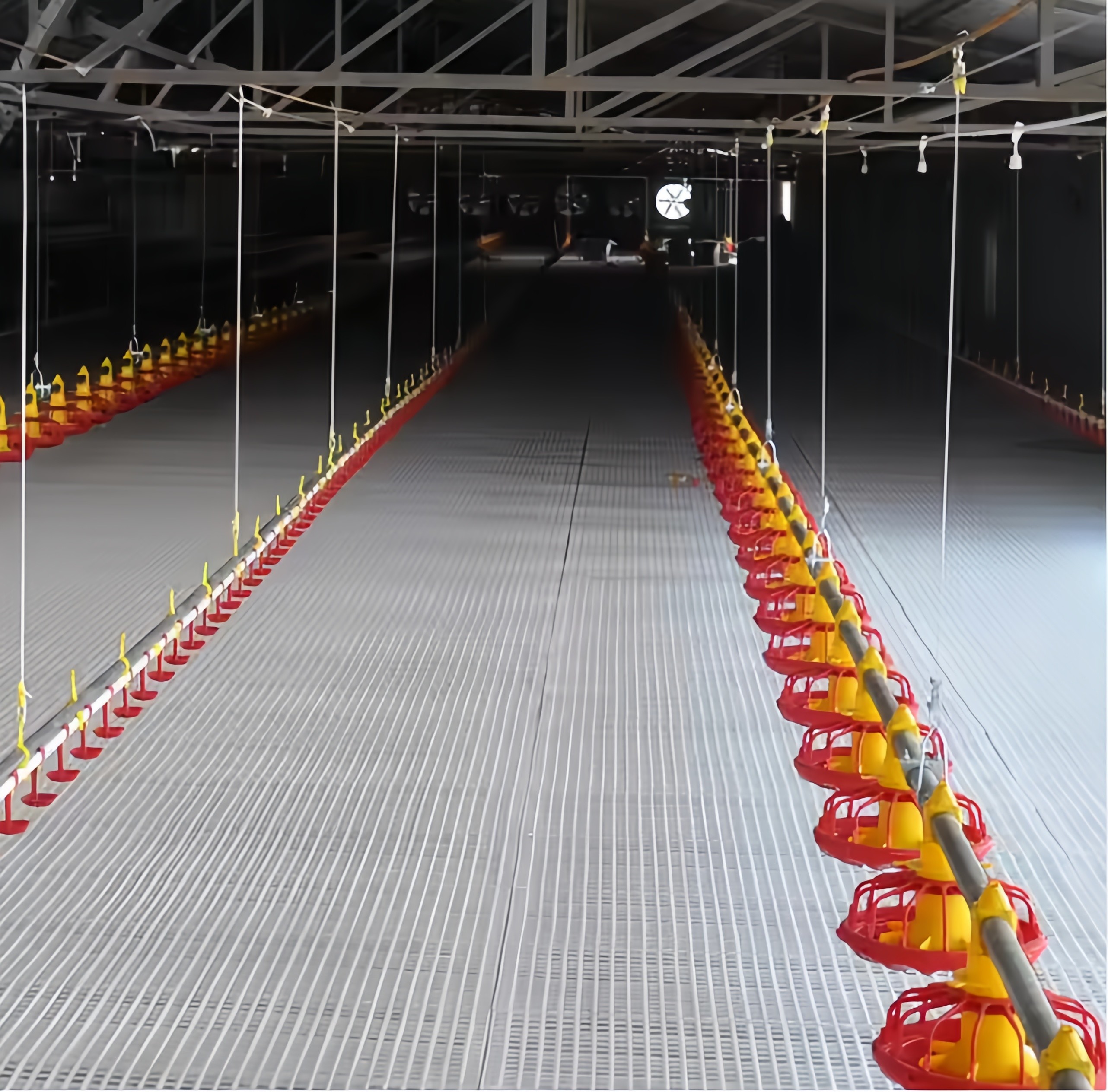 Pull Out Slat Chicken Layer Cages Automatic Harvesting Broiler Battery Cages For Laying Hens