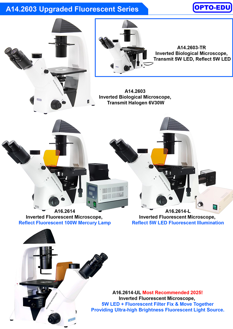 OPTO-EDU A16.2614-UL China Supplier High Brightness Inverted Ultra LED Fluorescent Microscope Price
