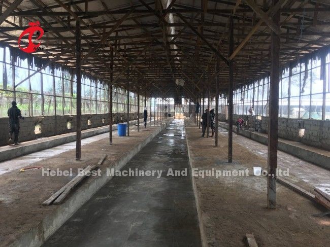 Raising Hens Made Easy With Poultry Layer Cage In A Or H Type 450cm2 Ada