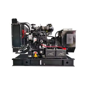 China 22KW 25KVA 28KVA Cummins Diesel Generator 20kw 3 Phase Diesel Generator 39.6A on sale